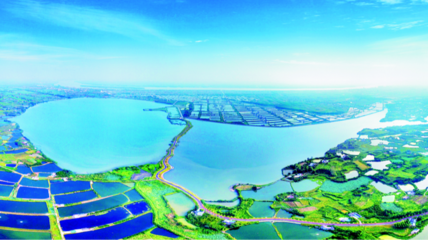 生态修复“绣”出金湖湿地灵动之美