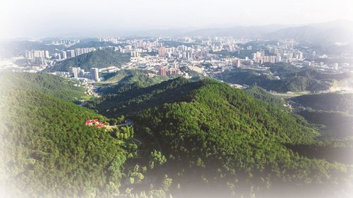 生态修复战犹酣 绿满十堰正逢时