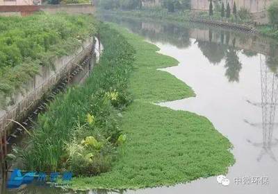 水环境生态修复六大技术汇集